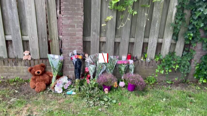 Bloemen en knuffels in Maastricht en Geleen voor Gino