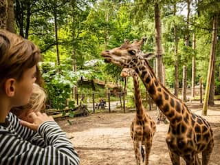 Bestel tickets voor DierenPark Amersfoort van €31,50 voor €21,95