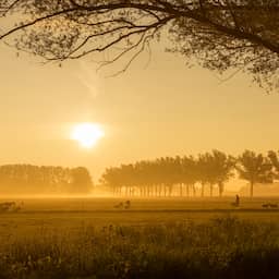 Unieke zomerse vorst aan de grond gemeten in Twente