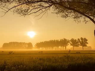Unieke zomerse vorst aan de grond gemeten in Twente