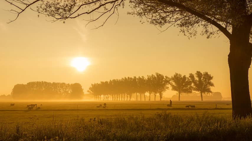 Unieke zomerse vorst aan de grond gemeten in Twente