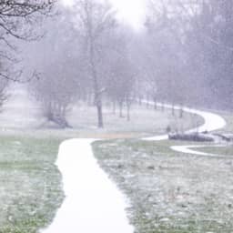 Code geel in oostelijke helft van het land vanwege gladheid door bevriezing