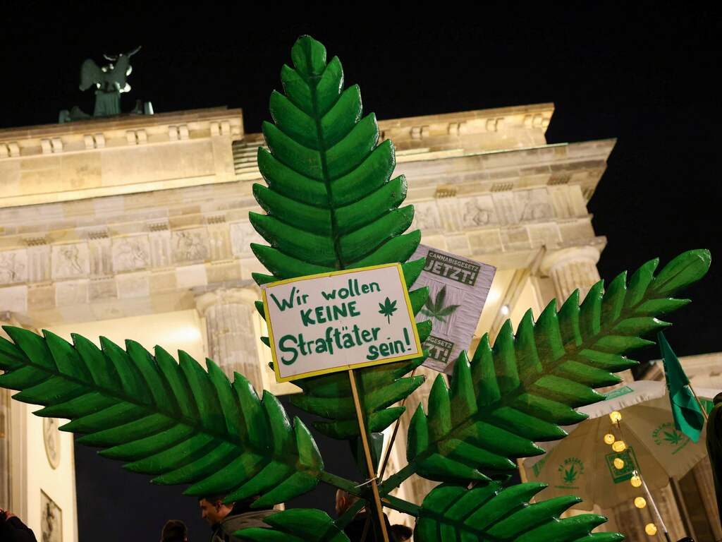 Duitsers halen met nieuw wietbeleid Nederland in: cannabis telen nu toegestaan