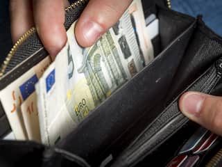 Da Vinci en Beethoven of ooievaar en kluut: wie komt er op nieuwe eurobiljetten?