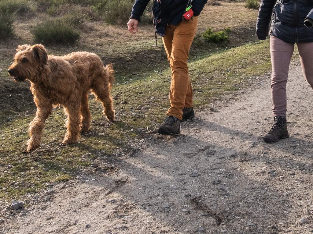 Weerbericht: Kouder dan afgelopen dagen, maar nog altijd zonnig