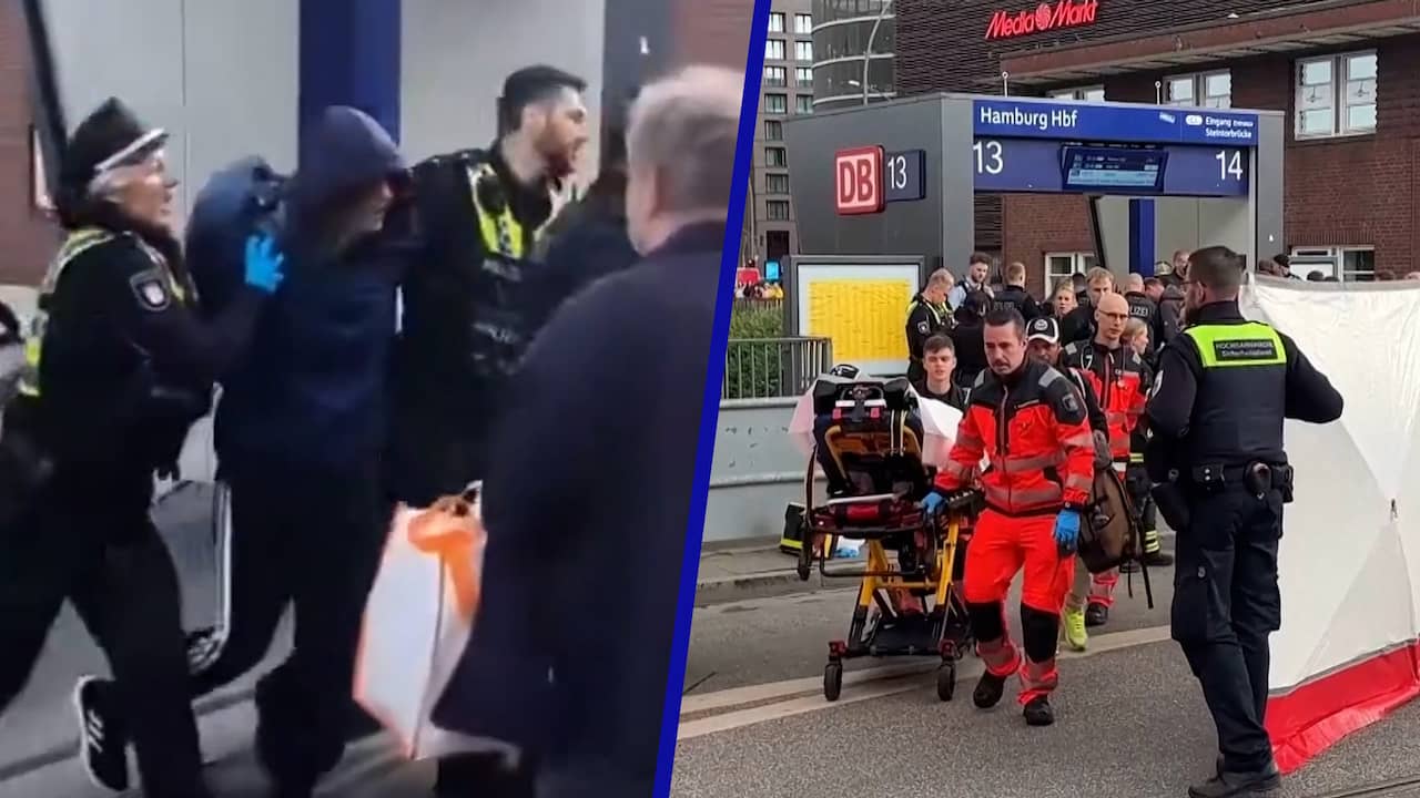 Beeld uit video: Politie houdt verdachte aan na steekpartij in Hamburg