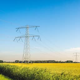 Foundation demands millions from ACM over Flexenergie bankruptcy