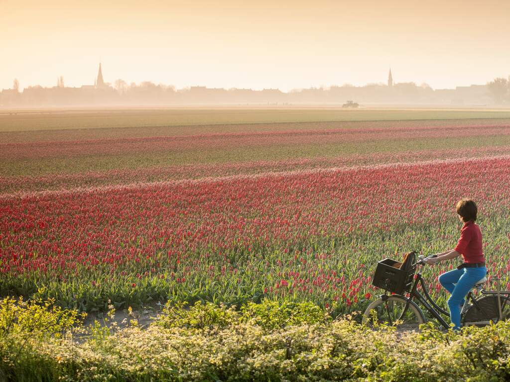 Weerbericht: Bewolkt begin van de dag met veel zon in het vooruitzicht