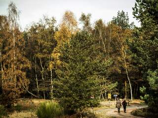Waarom de Posbankmoordzaak opnieuw moet na omstreden undercoveractie