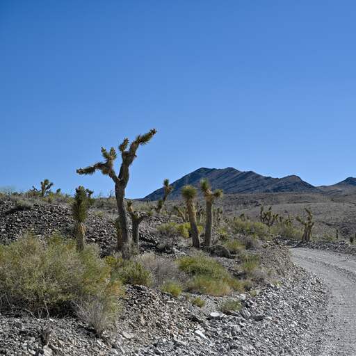 Illustratie bij: Fransman komt om door hitte in Death Valley terwijl hij hulp zoekt na autopech