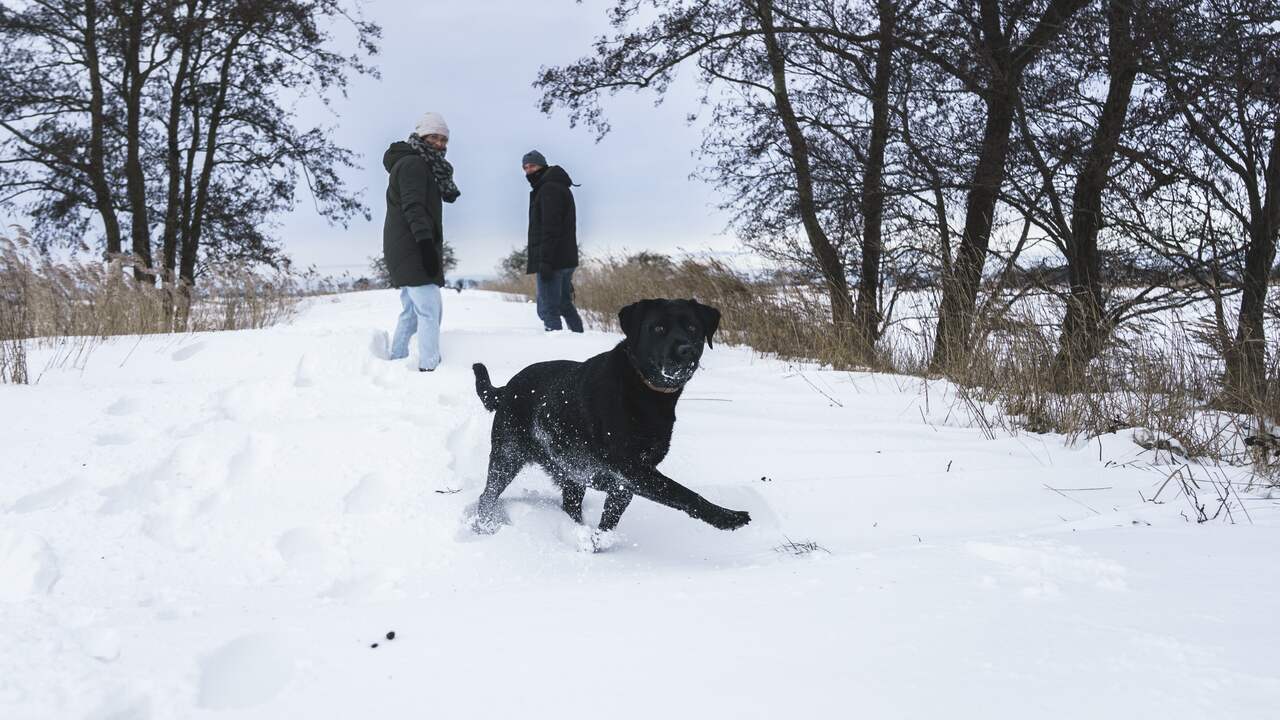 Gradenn Bijzonder veel sneeuw en -11,6 graden: streng winterweer na 1,5 week ...
