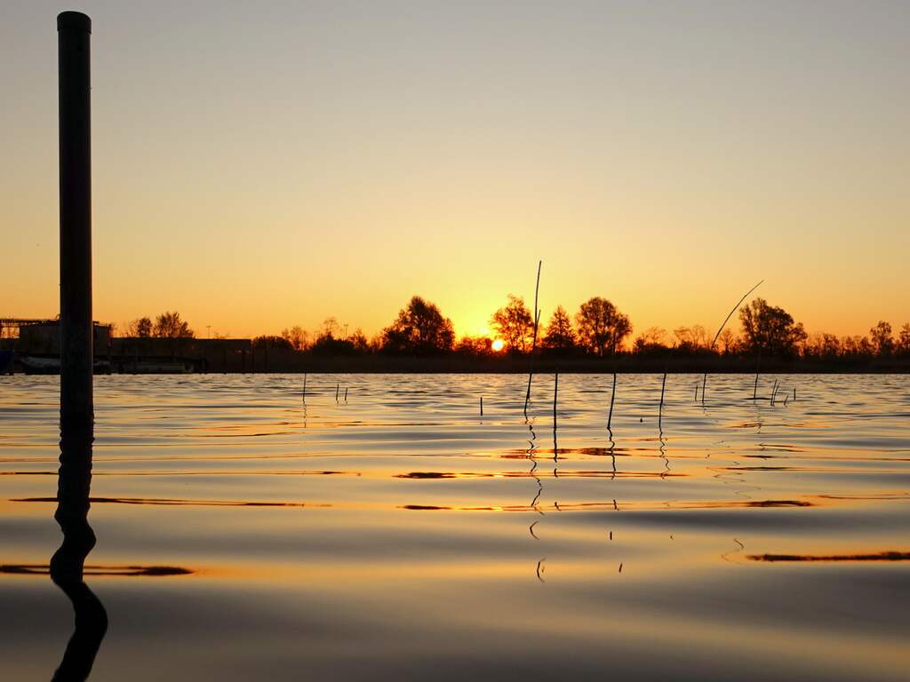 Dinsdag 21 april: De zon liet zich vanochtend alweer vroeg zien in Noord-Brabant.