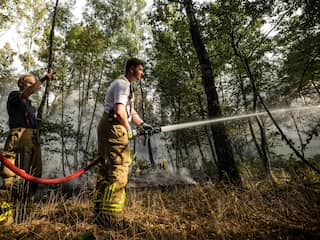 Natuurbrand Limburg breidt uit tot 100 hectare, brandlucht te ruiken in Nijmegen