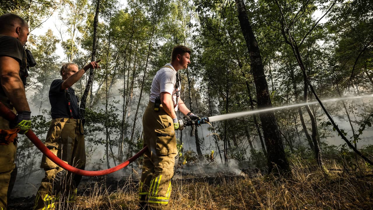 Natuurbrand Limburg breidt uit tot 100 hectare, brandlucht te ruiken in Nijmegen