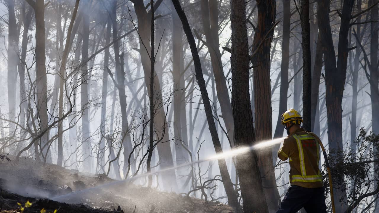 Mogelijk zijn alle slachtoffers bosbranden Spanje buitenlands, nog 19 vermisten