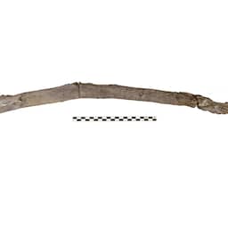 Houten werktuigen van 430.000 jaar oud zijn oudste die tot nu toe zijn gevonden