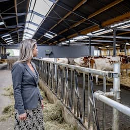 Kritiek op nieuwe stikstofwet minister Wiersma: 'Onverantwoord en zeer riskant'