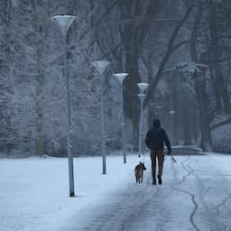 Oproep | Ligt er bij jou al sneeuw? Deel je mooiste foto's (gesloten)