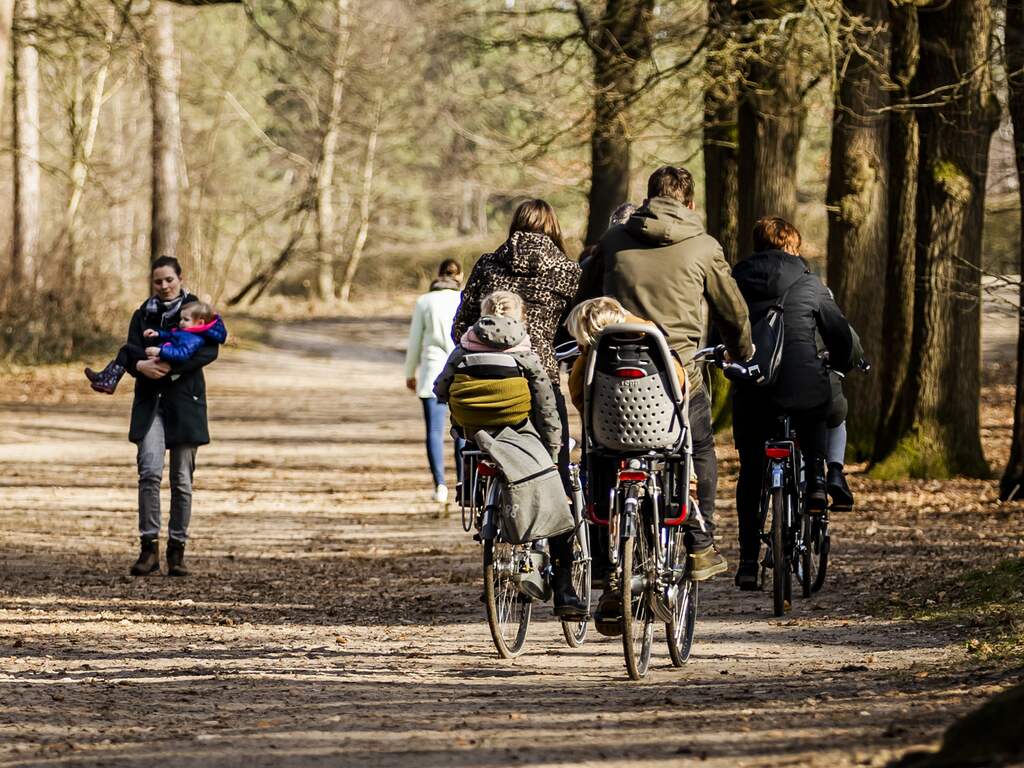 Weerbericht | Dag begint met wat regen, maar het wordt al snel droog en zonnig