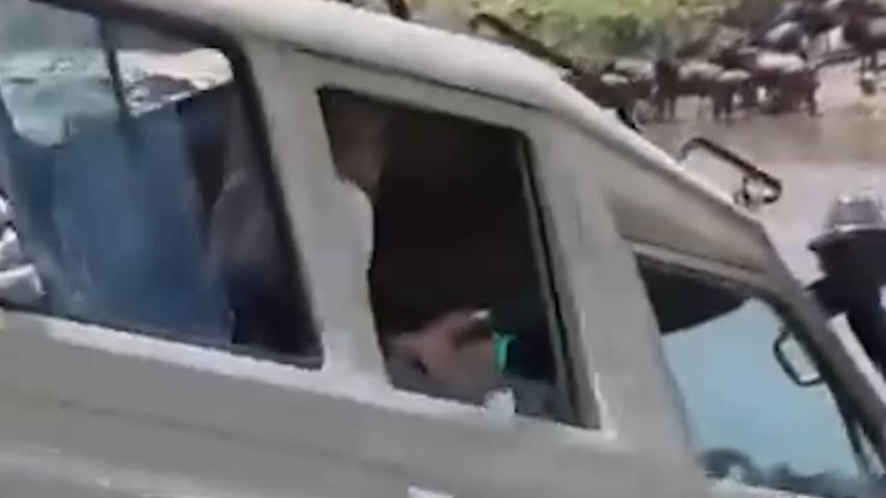 Foto bij Video | Jeep in Tanzania belandt tijdens safari in rivier vol krokodillen