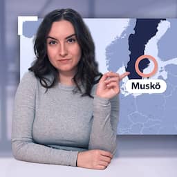 Explainer | Vakantie of spioneren? Russen kopen huizen vlak bij legerbases