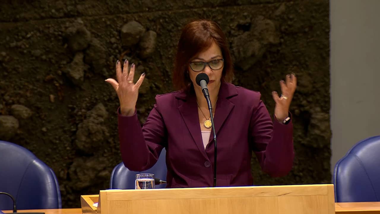 Foto bij Video | Staatssecretaris Palmen emotioneel tijdens debat over datakluis