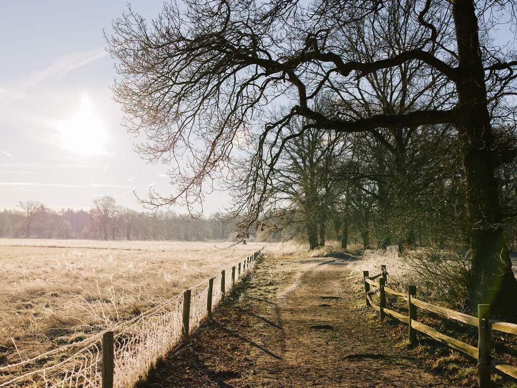Voor het eerst deze winter matige vorst gemeten, laagste temperatuur in Brabant