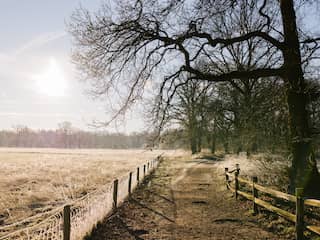 Voor het eerst deze winter matige vorst gemeten, laagste temperatuur in Brabant