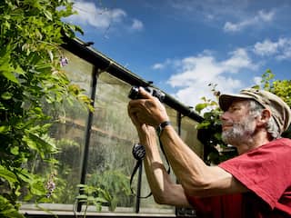 Vogels en vlinders tellen in de tuin: de wetenschap is je dankbaar