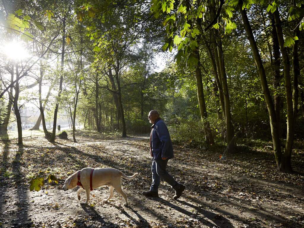 Weerbericht | Zaterdag begint erg fris, maar verloopt wel droog en zonnig
