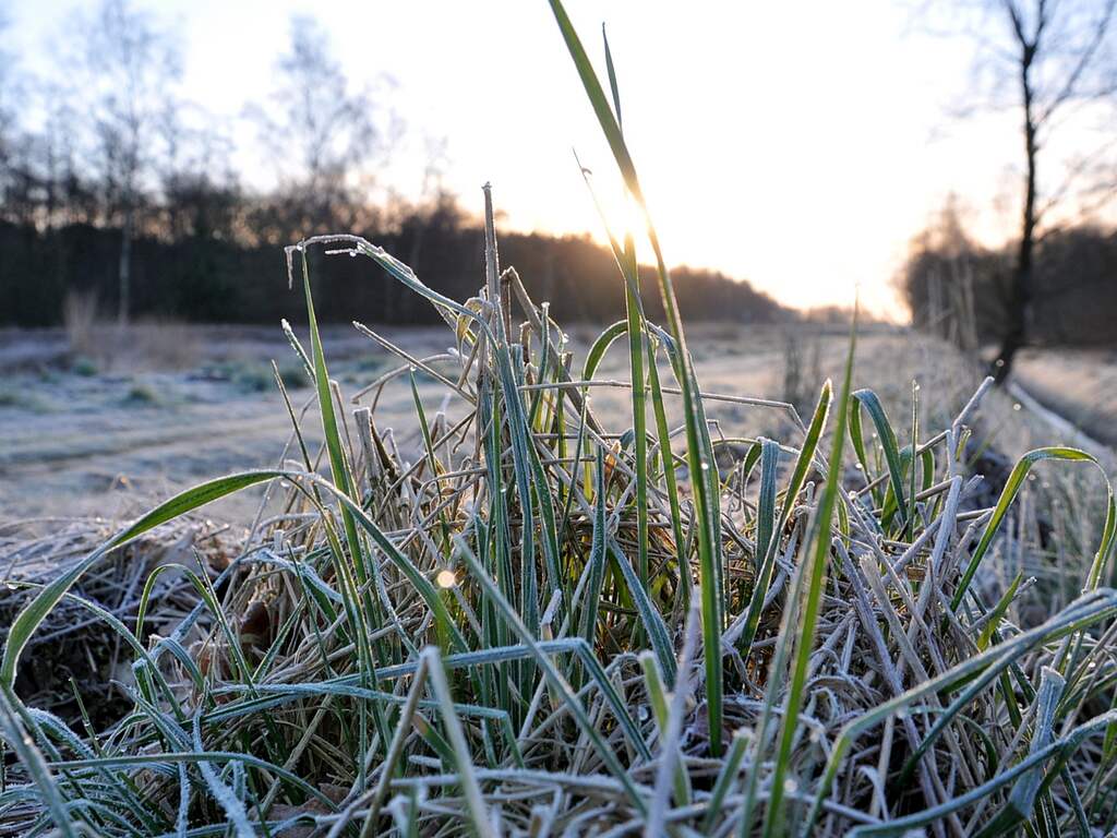 Weerbericht: Dag begint koud, in de middag kans op buien