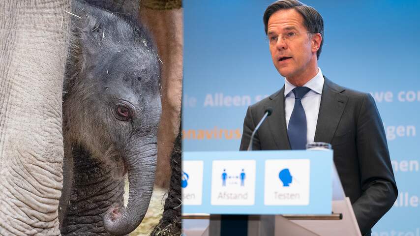 Rutte: 'Vanaf woensdag weer naar dierentuin en sportschool'