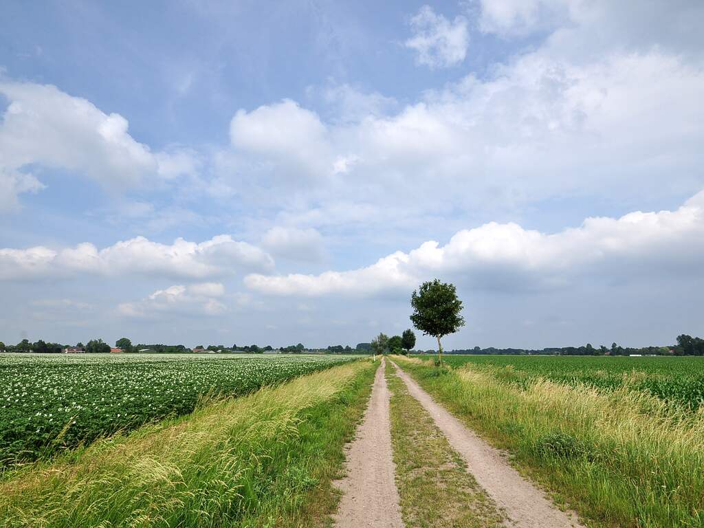 Vrijdag 8 juni: Het was vandaag een zonnige dag in Brabant.