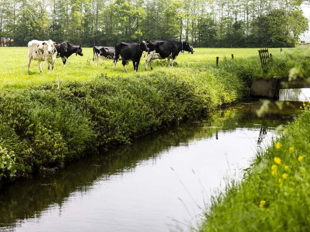 Weerbericht: Bewolkt (en soms een beetje regenachtig) begin van de week