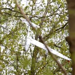 Video | Brandweer schiet met katapult Defensie-vliegtuigje uit boom