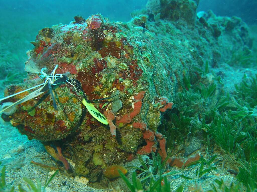 Wereldwijd ruim zestienhonderd Nederlandse scheepswrakken in kaart gebracht