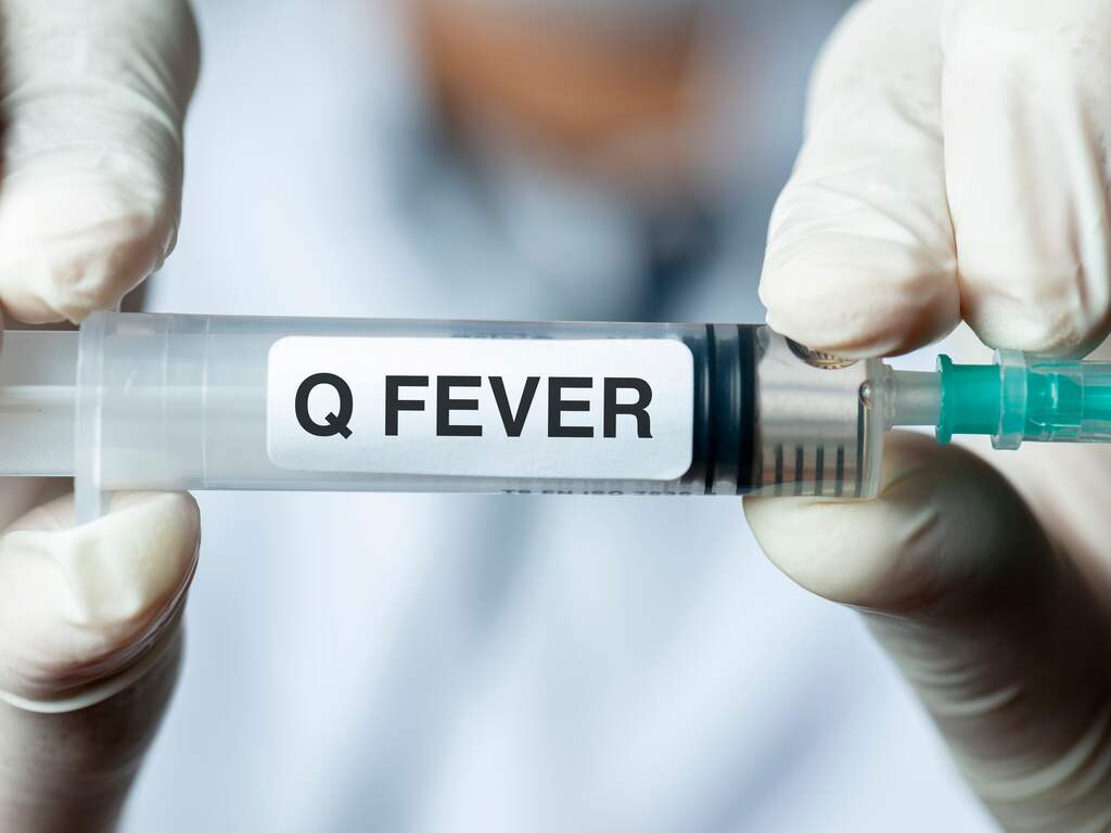 Ombudsman vraagt voor de derde keer excuses overheid aan Q-koortspatiënten