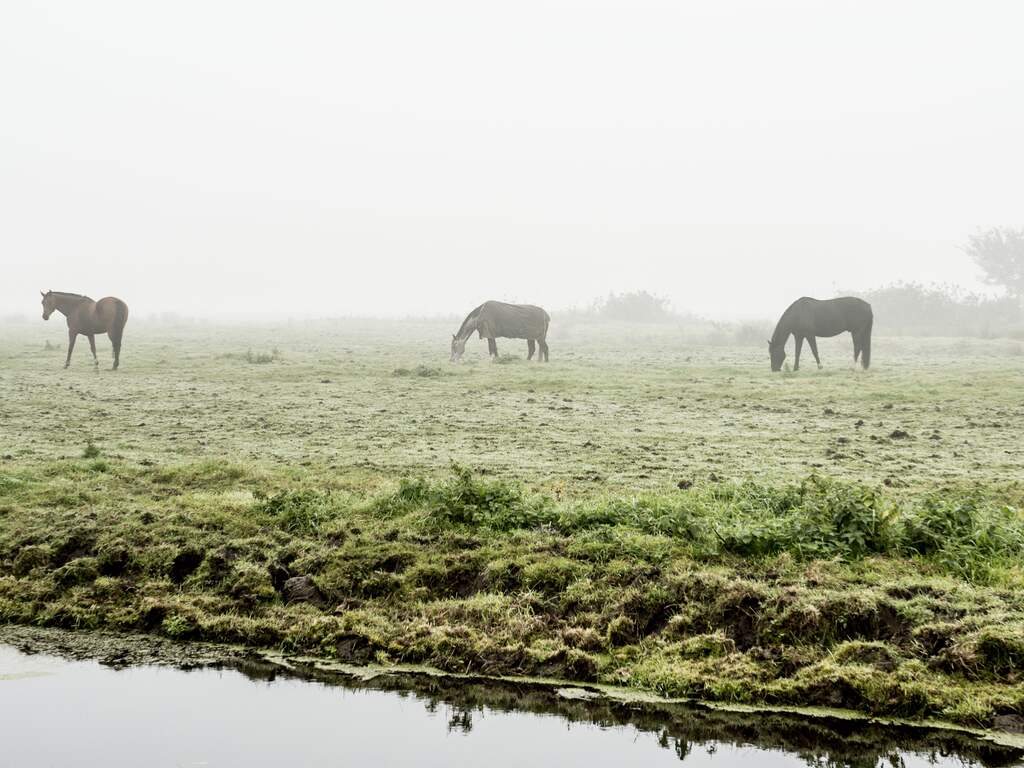 Weerbericht | Code geel vanwege dichte mist, daarna breekt de zon door