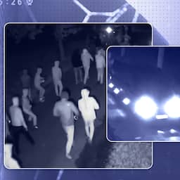 Explainer | Camerabeelden van minuut tot minuut: dit gebeurde er in Overasselt