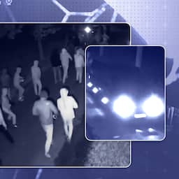Explainer | Camerabeelden van minuut tot minuut: dit gebeurde er in Overasselt