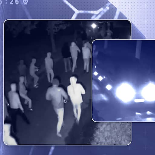 Illustratie bij: Explainer | Camerabeelden van minuut tot minuut: dit gebeurde er in Overasselt