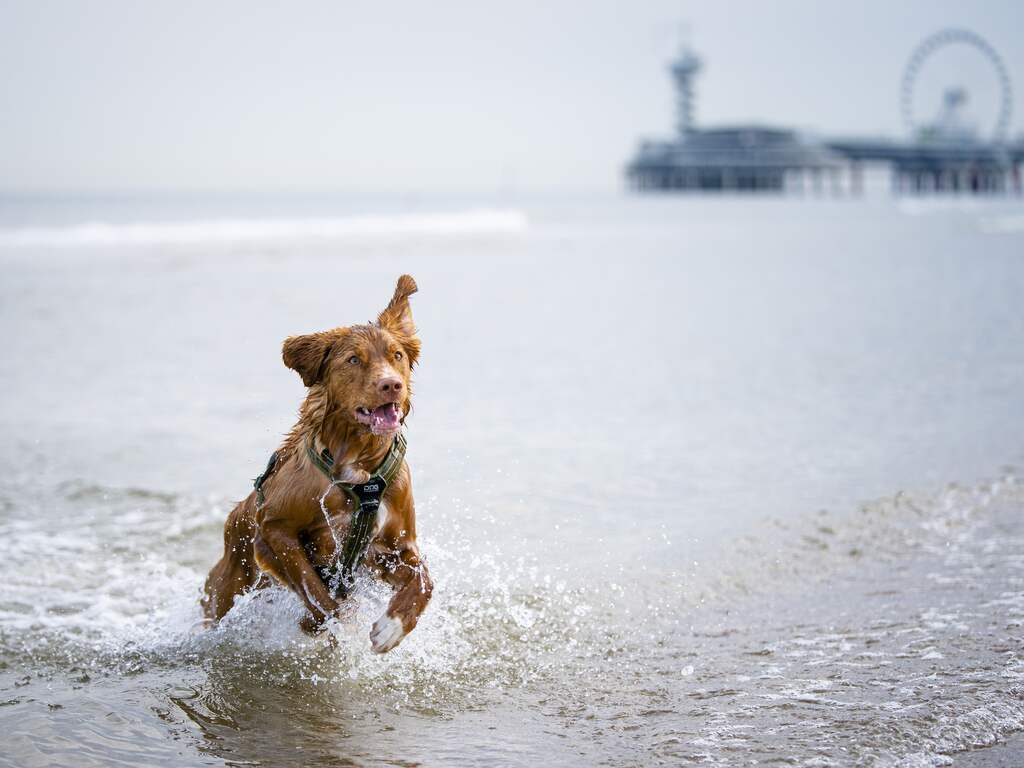 Weerbericht: Bewolking, zon en een aantal buien met kans op onweer