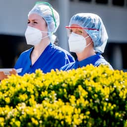 Q&A | Kan hantavirus muteren en pandemie worden? 'Totaal niet zoals corona'