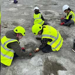 Een van langste sporen van dinosaurusvoetafdrukken