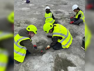 Een van langste sporen van dinosaurusvoetafdrukken ter wereld ontdekt