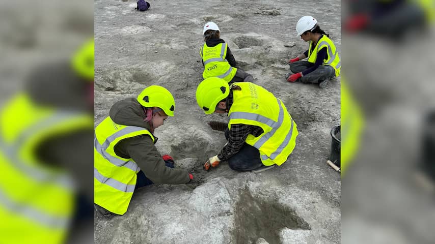 Een van langste sporen van dinosaurusvoetafdrukken ter wereld ontdekt