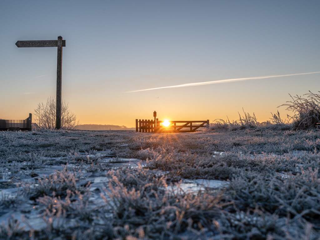 Zondag 31 januari: De ochtendzon schijnt op de vorst in Drenthe.
