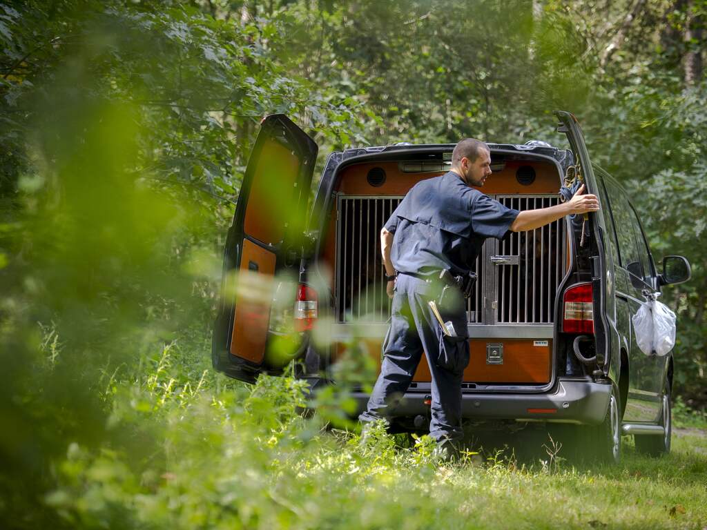 Nederlander krijgt 17 jaar cel voor roofmoord op nog vermiste Belg Jelle Leemans