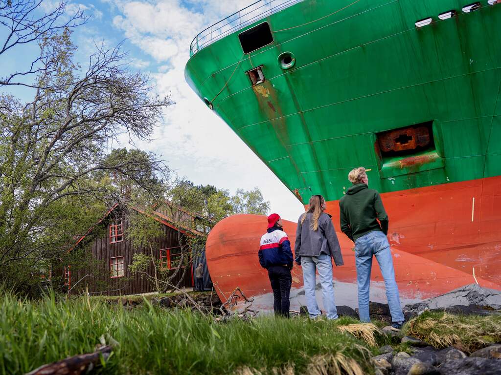 Enorm vrachtschip belandde in Noorse achtertuin doordat stuurman in slaap viel