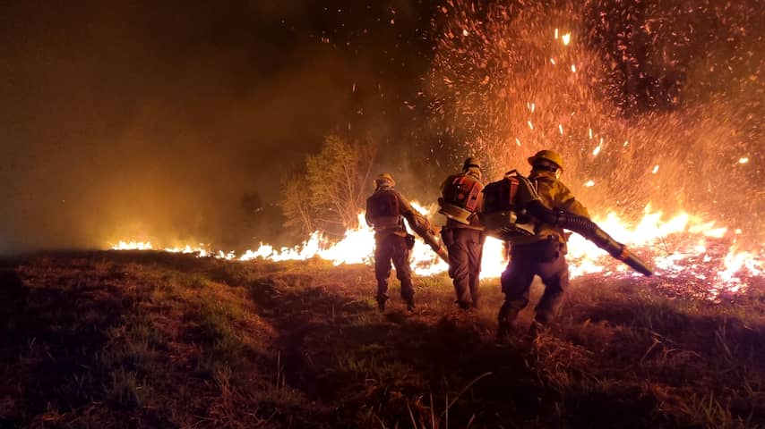 Bos weerbaarder maken tegen brand: 'Bos aanpassen duurt enorm lang'